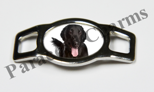 Flat-Coated Retriever #004