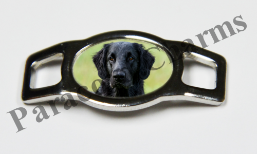 Flat-Coated Retriever #005