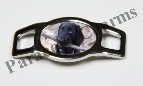 Flat-Coated Retriever #006  - Click Image to Close