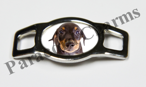 German Pinscher #002  - Click Image to Close