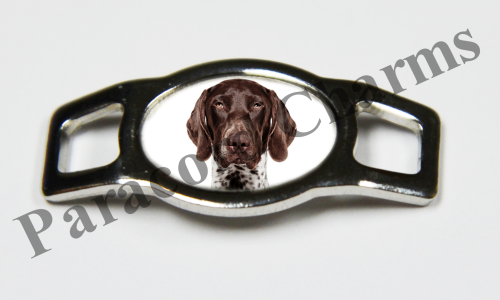 German Shorthaired Pointer #001