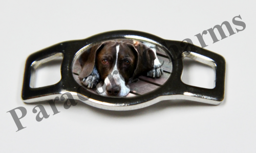 German Shorthaired Pointer #002  - Click Image to Close