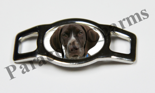 German Shorthaired Pointer #004