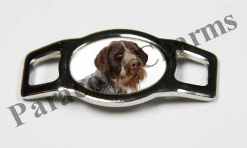 German Wirehaired Pointer #004