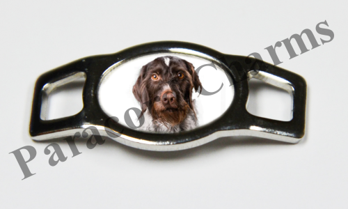 German Wirehaired Pointer #005  - Click Image to Close