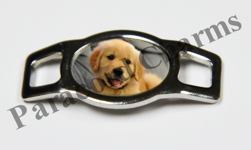 Golden Retriever #001  - Click Image to Close