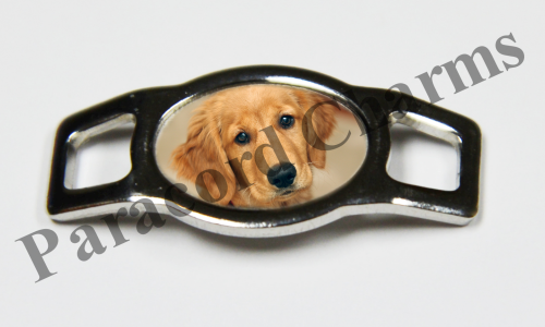 Golden Retriever #002