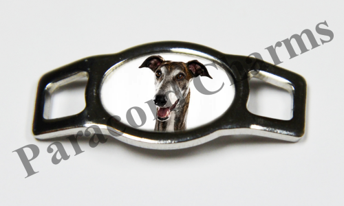 Greyhound #003  - Click Image to Close