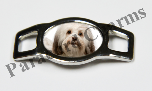 Havanese #001  - Click Image to Close