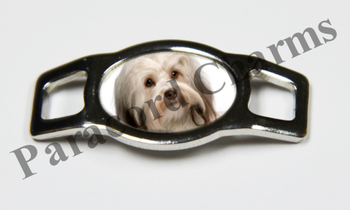 Havanese #002  - Click Image to Close