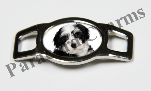 Havanese #004  - Click Image to Close