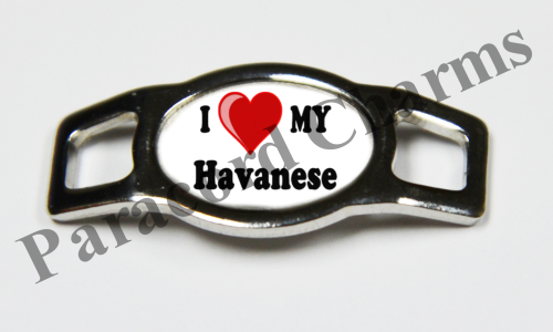 Havanese #005  - Click Image to Close