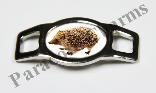 Hedgehog #002  - Click Image to Close