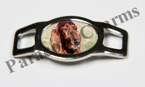 Irish Setter #001