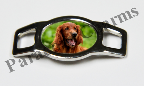 Irish Setter #002