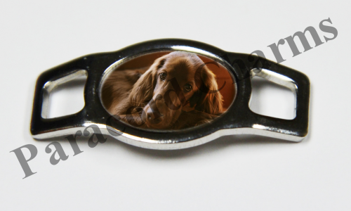 Irish Setter #003  - Click Image to Close