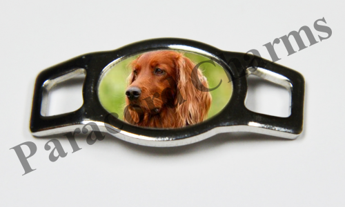 Irish Setter #004