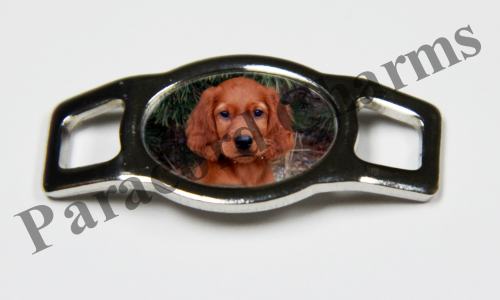 Irish Setter #005  - Click Image to Close