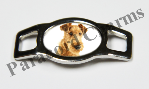 Irish Terrier #002  - Click Image to Close