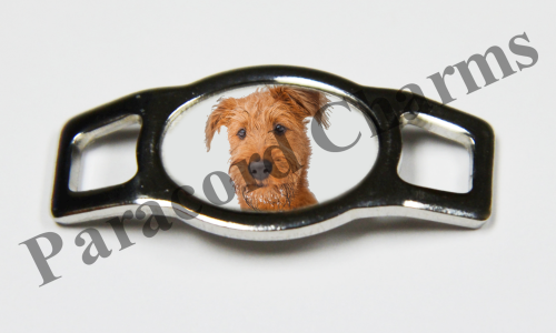 Irish Terrier #004