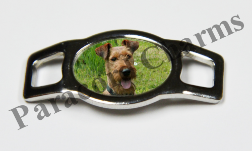 Irish Terrier #006