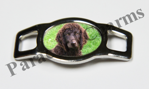 Irish Water Spaniel  #003  - Click Image to Close