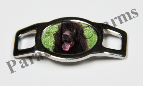 Irish Water Spaniel  #004  - Click Image to Close