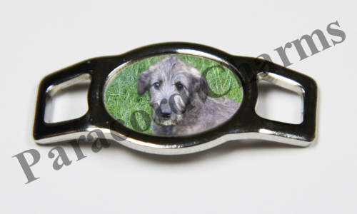 Irish Wolfhound #004