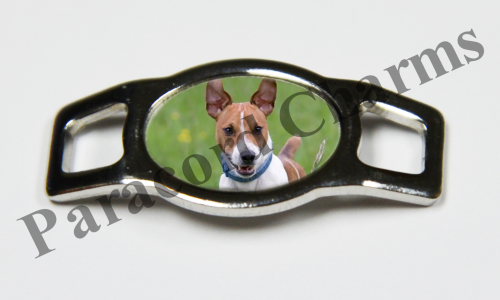 Jack Russell Terrier #007  - Click Image to Close