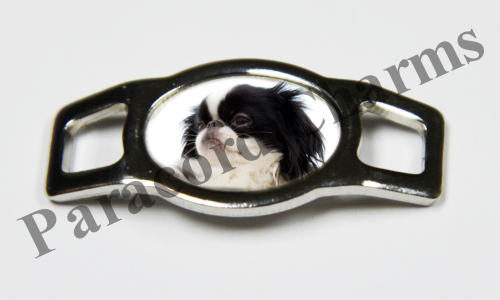 Japanese Chin #001