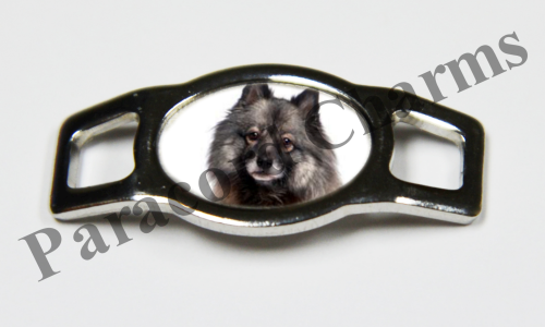 Keeshond #005  - Click Image to Close