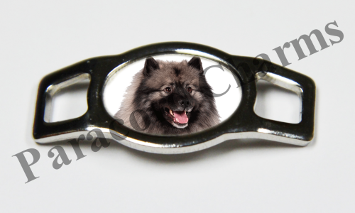 Keeshond #006