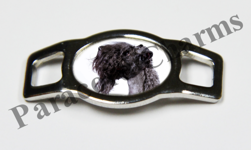 Kerry Blue Terrier #004