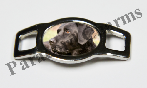 Labrador Retriever #007  - Click Image to Close