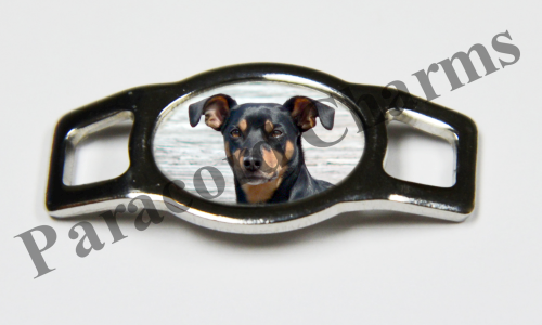 Manchester Terrier #004