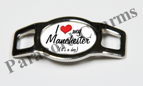 Manchester Terrier #007  - Click Image to Close