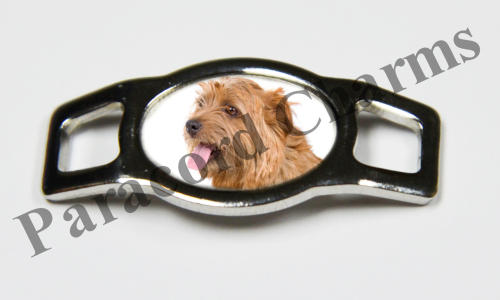 Norfolk Terrier #006  - Click Image to Close