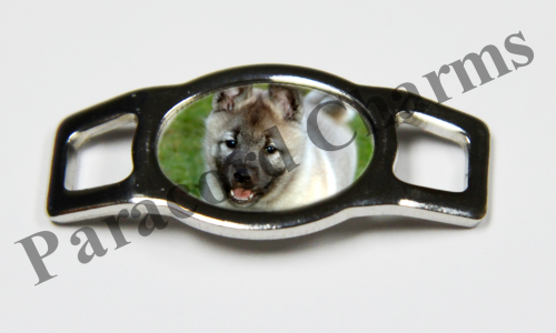 Norwegian Elkhound #004