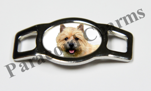 Norwich Terrier #003  - Click Image to Close