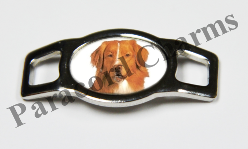 Nova Scotia Duck Tolling Retriever #004