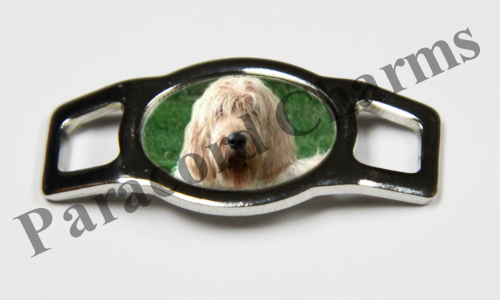 Otterhound #002