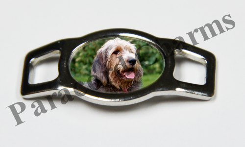 Otterhound #003  - Click Image to Close