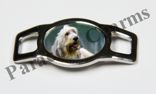 Otterhound #005  - Click Image to Close