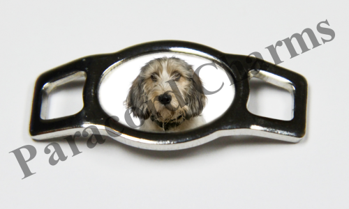 Petit Basset Griffon Vendeen #003