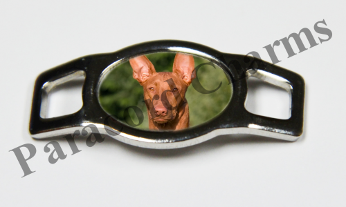 Pharaoh Hound #003