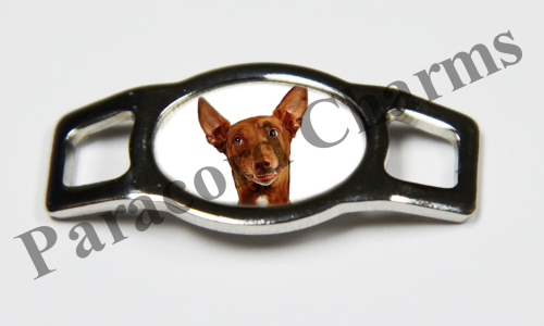 Pharaoh Hound #005  - Click Image to Close