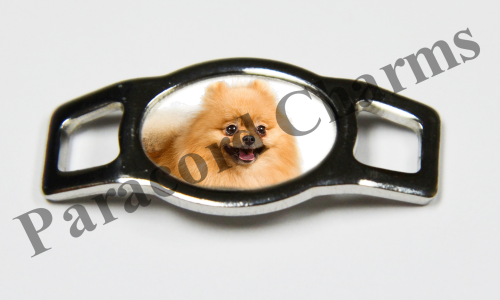 Pomeranian #003  - Click Image to Close