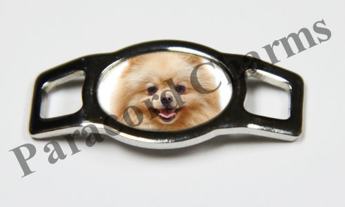 Pomeranian #004  - Click Image to Close