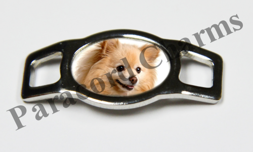 Pomeranian #006  - Click Image to Close