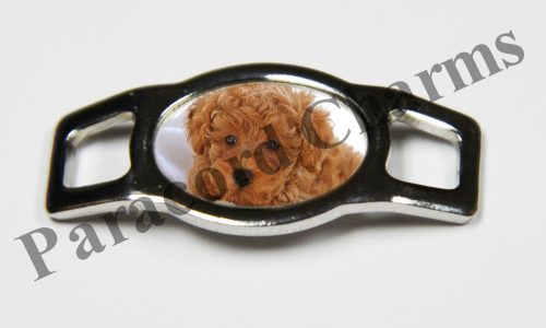 Poodle #001  - Click Image to Close